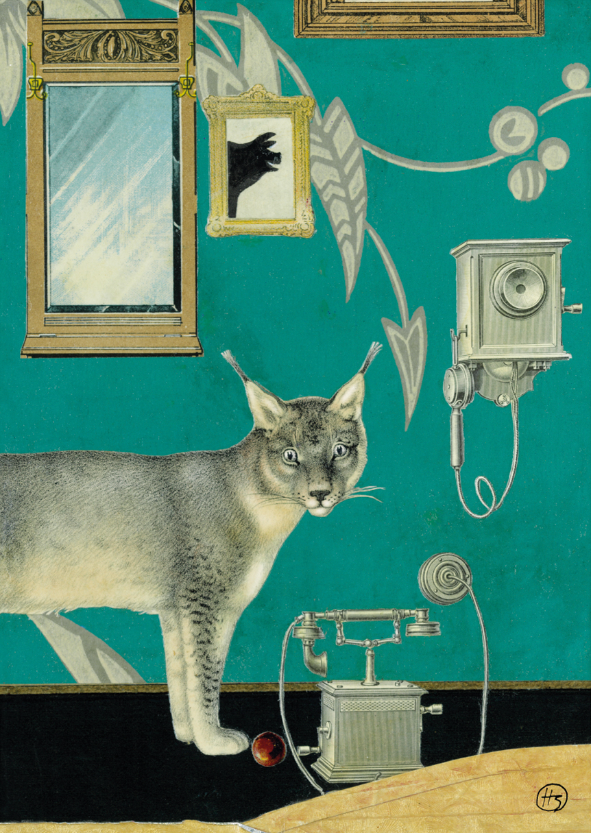 Kein Schwein ruft mich an...